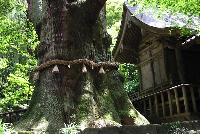 大杵社神社